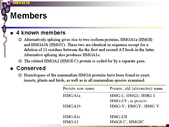 MBV 4230 Members n 4 known members Alternatively splicing gives rise to two isoform