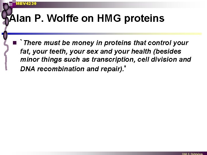 MBV 4230 Alan P. Wolffe on HMG proteins n `There must be money in