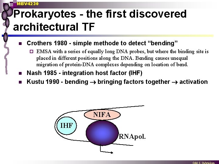 MBV 4230 Prokaryotes - the first discovered architectural TF n Crothers 1980 - simple