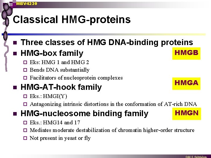 MBV 4230 Classical HMG-proteins n n Three classes of HMG DNA-binding proteins HMGB HMG-box