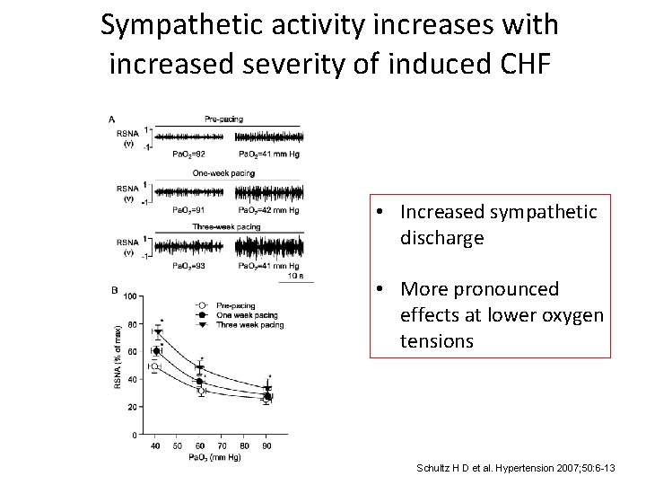 Sympathetic activity increases with increased severity of induced CHF • Increased sympathetic discharge •