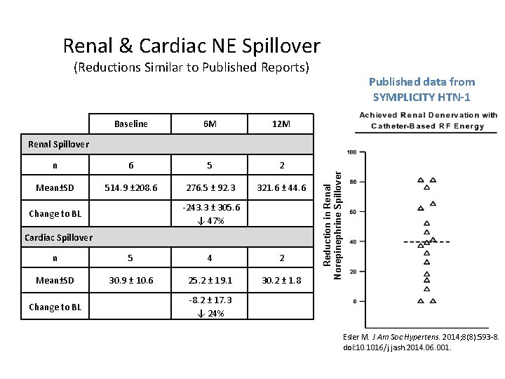 Renal & Cardiac NE Spillover (Reductions Similar to Published Reports) Baseline 6 M 12