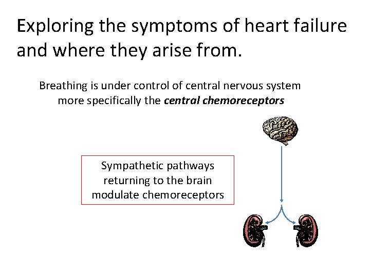 Exploring the symptoms of heart failure and where they arise from. Breathing is under