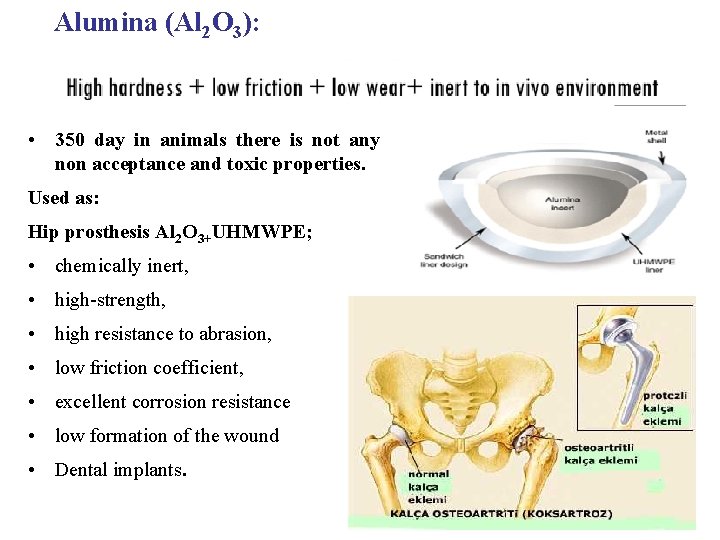 Alumina (Al 2 O 3): • 350 day in animals there is not any