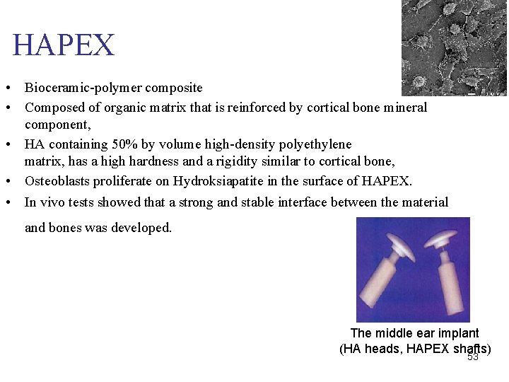 HAPEX • • • Bioceramic-polymer composite Composed of organic matrix that is reinforced by