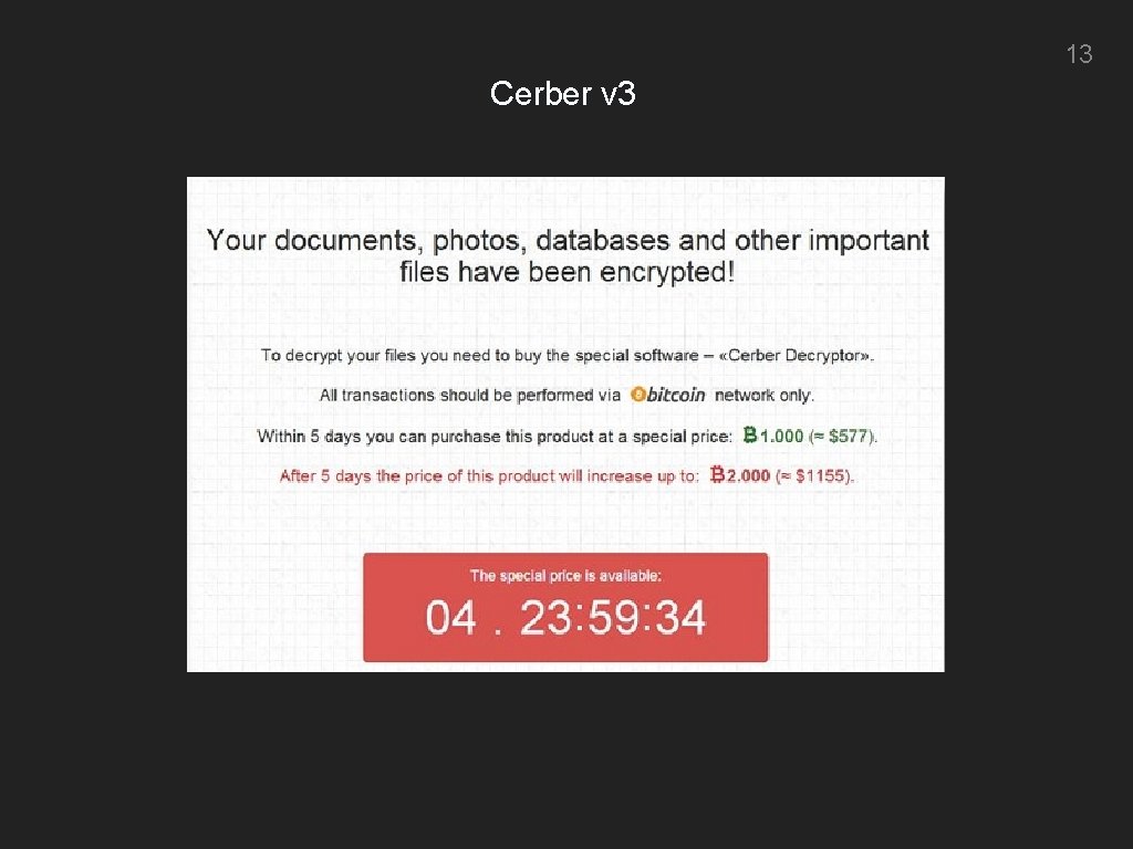 13 Cerber v 3 