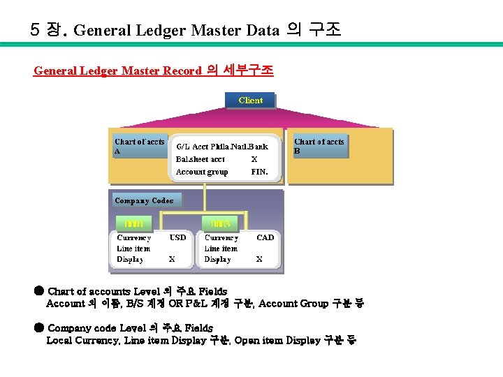 5 장. General Ledger Master Data 의 구조 General Ledger Master Record 의 세부구조