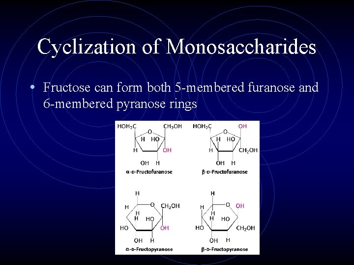 Cyclization of Monosaccharides • Fructose can form both 5 -membered furanose and 6 -membered