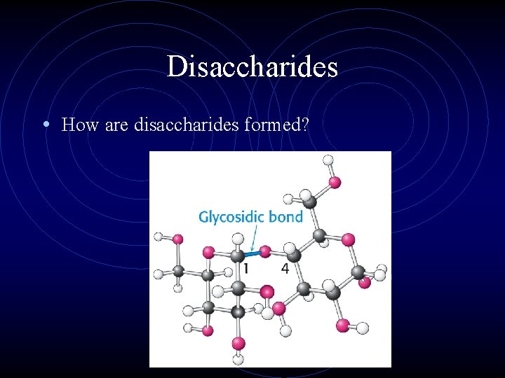 Disaccharides • How are disaccharides formed? 