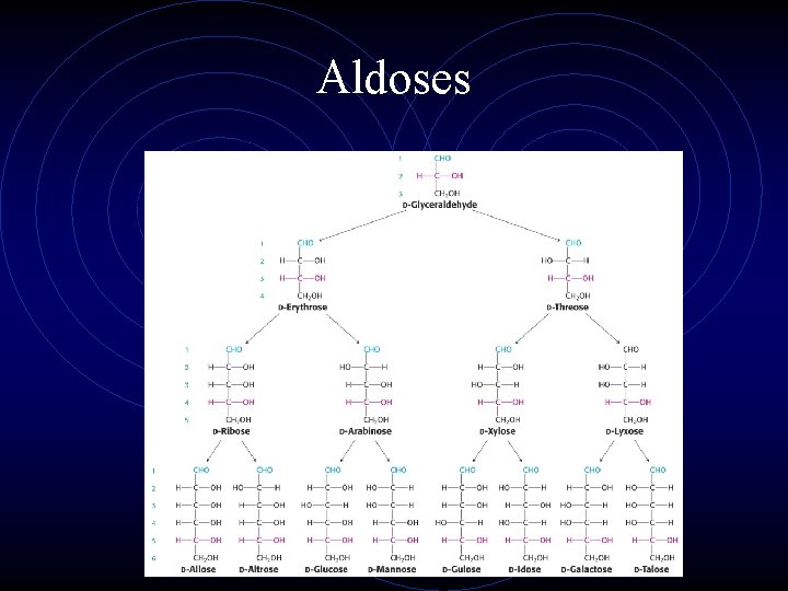 Aldoses 