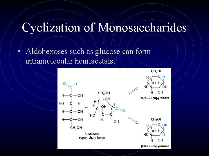 Cyclization of Monosaccharides • Aldohexoses such as glucose can form intramolecular hemiacetals. 