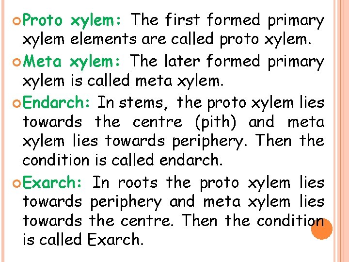  Proto xylem: The first formed primary xylem elements are called proto xylem. Meta