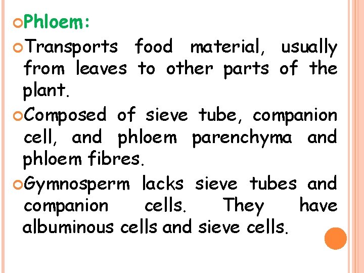  Phloem: Transports food material, usually from leaves to other parts of the plant.