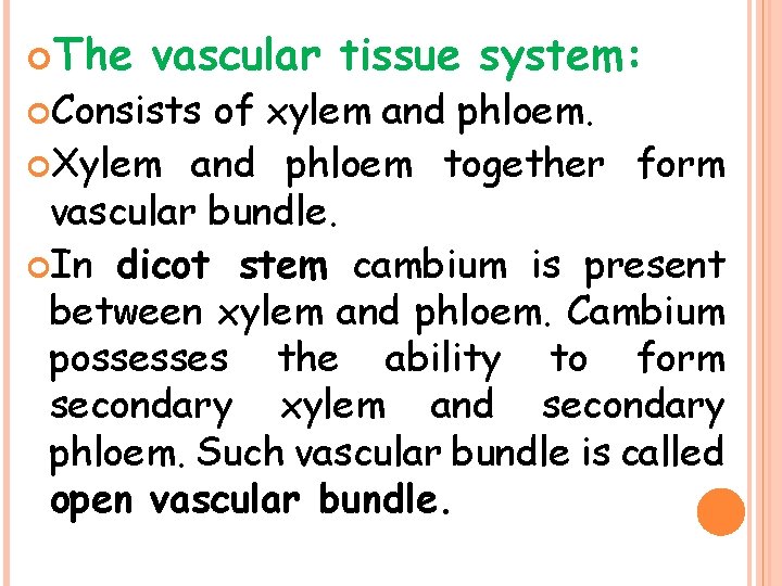  The vascular tissue system: Consists of xylem and phloem. Xylem and phloem together