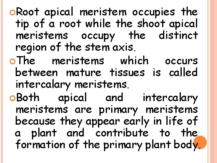  Root apical meristem occupies the tip of a root while the shoot apical