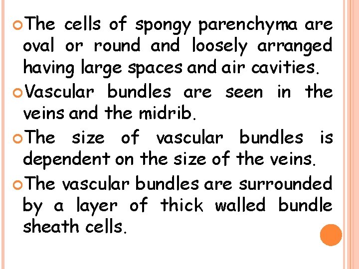 The cells of spongy parenchyma are oval or round and loosely arranged having The cells of spongy parenchyma are oval or round and loosely arranged having