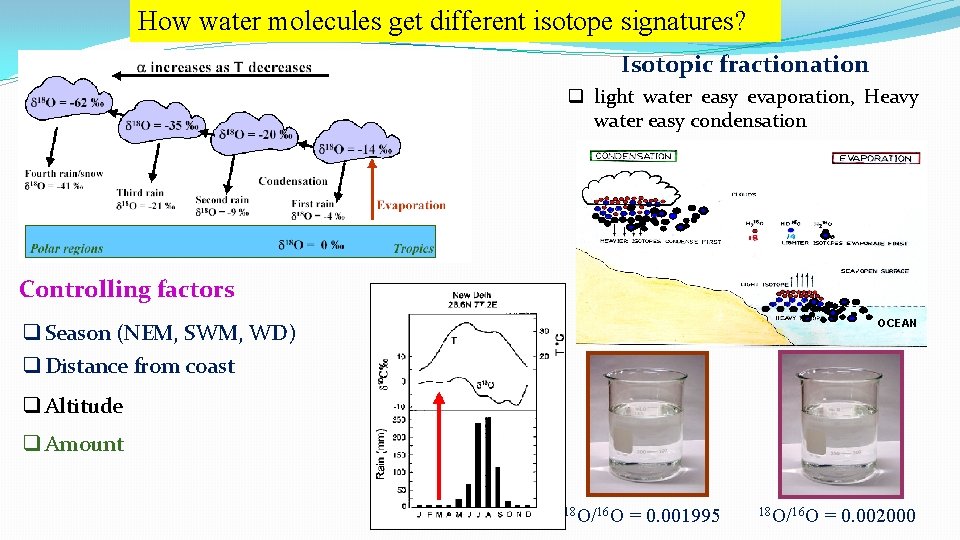 How water molecules get different isotope signatures? Isotopic fractionation q light water easy evaporation,