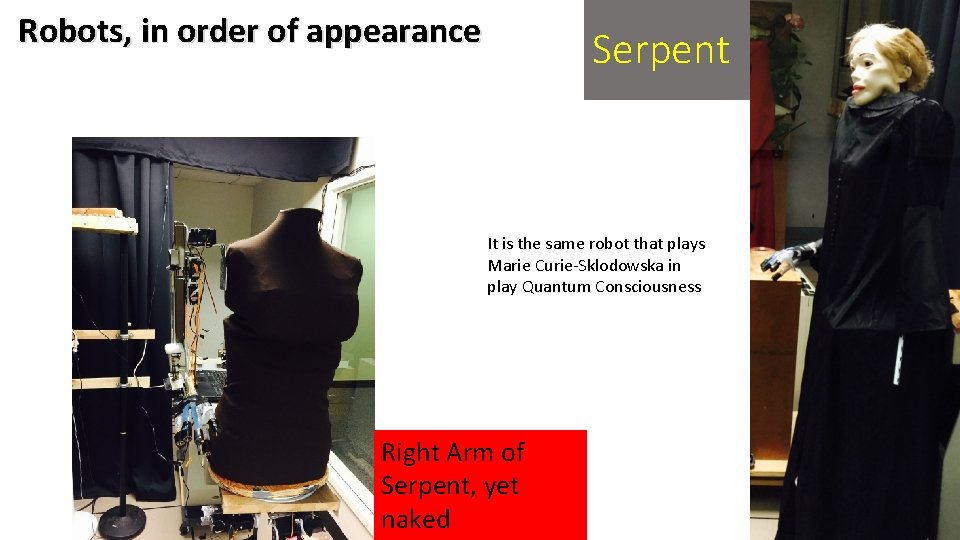 Robots, in order of appearance Serpent It is the same robot that plays Marie