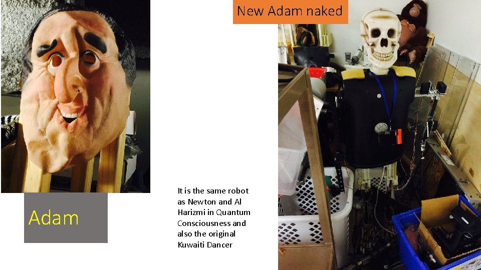 New Adam naked Serpent Adam It is the same robot as Newton and Al