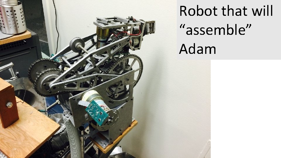 Robot that will “assemble” Adam 