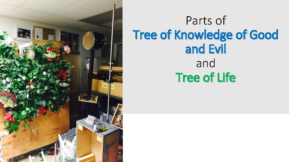 Parts of Tree of Knowledge of Good and Evil and Tree of Life 