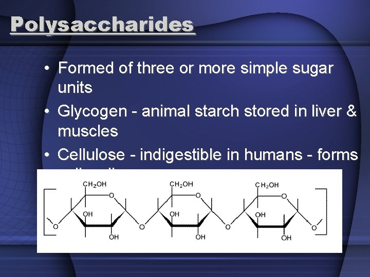 Polysaccharides • Formed of three or more simple sugar units • Glycogen - animal