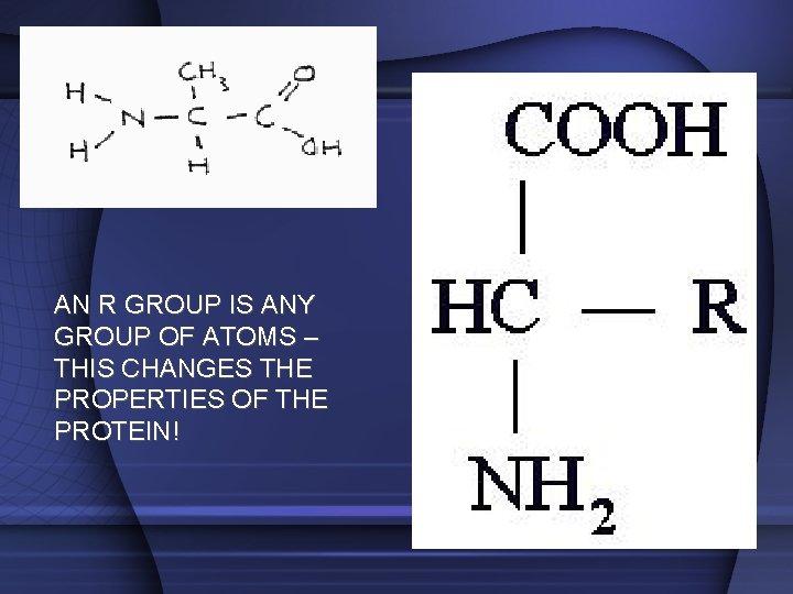 AN R GROUP IS ANY GROUP OF ATOMS – THIS CHANGES THE PROPERTIES OF