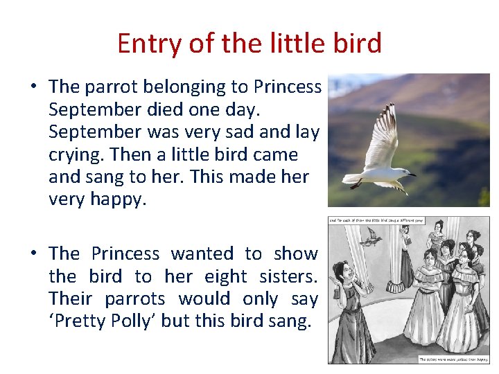 Entry of the little bird • The parrot belonging to Princess September died one