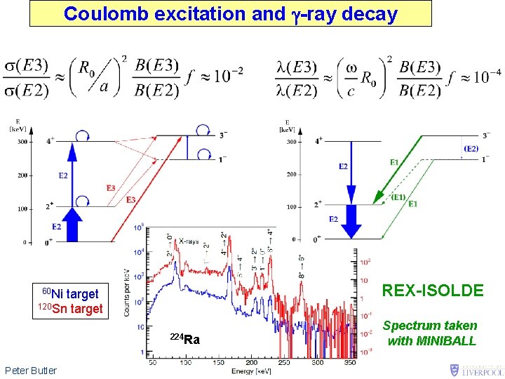 Coulomb excitation and g-ray decay REX-ISOLDE 60 Ni target 120 Sn target 224 Ra