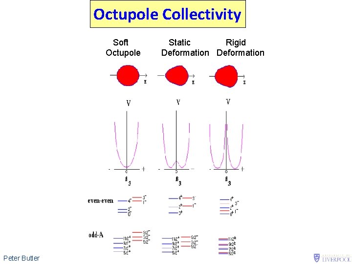 Octupole Collectivity Soft Octupole Peter Butler Static Rigid Deformation 