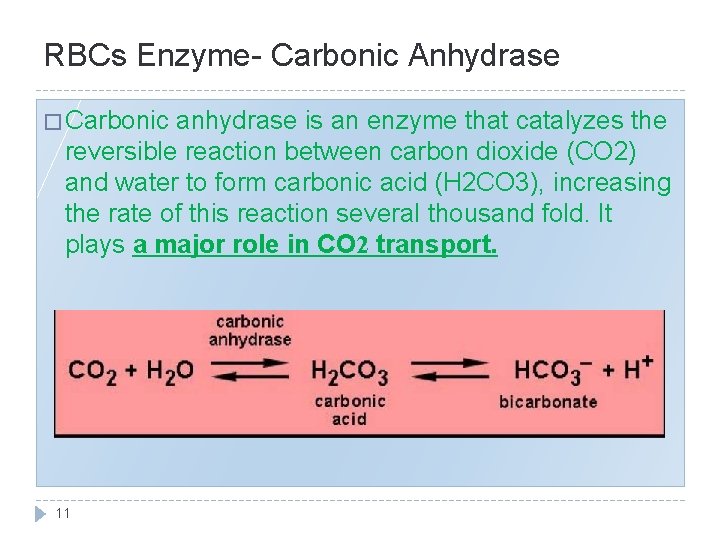 RBCs Enzyme- Carbonic Anhydrase � Carbonic anhydrase is an enzyme that catalyzes the reversible