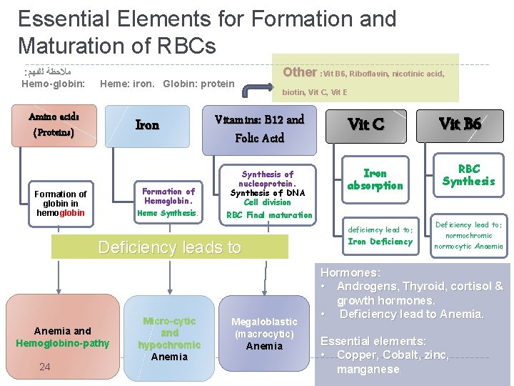 Essential Elements for Formation and Maturation of RBCs : ﻟﻠﻔﻬﻢ ﻣﻼﺣﻈﺔ Hemo-globin: Heme: iron.