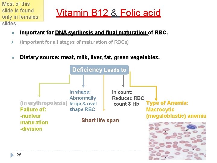 Most of this slide is found only in females’ slides. Vitamin B 12 &