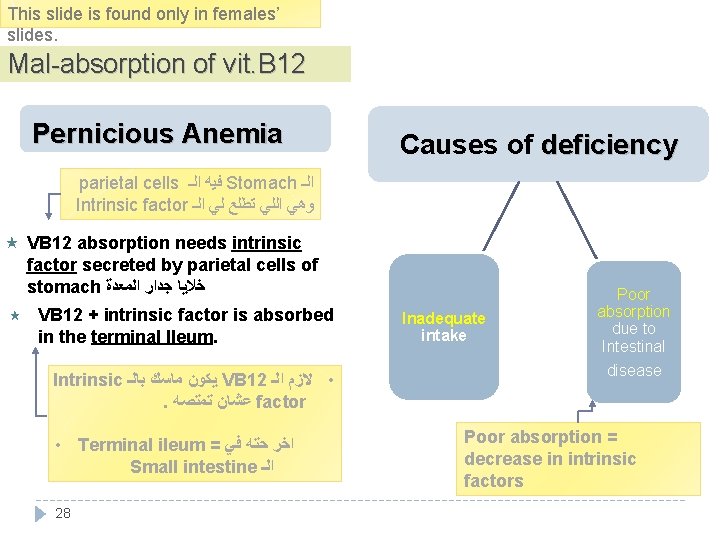 This slide is found only in females’ slides. Mal-absorption of vit. B 12 Pernicious