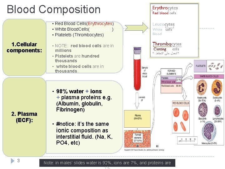 Blood Composition • Red Blood Cells(Erythrocytes) • White Blood. Cells(Leucocytes) • Platelets (Thrombocytes) 1.