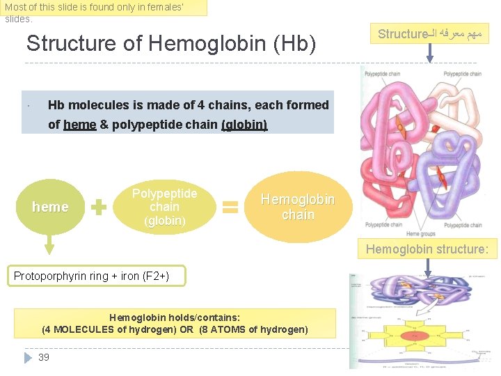 Most of this slide is found only in females’ slides. Structure of Hemoglobin (Hb)