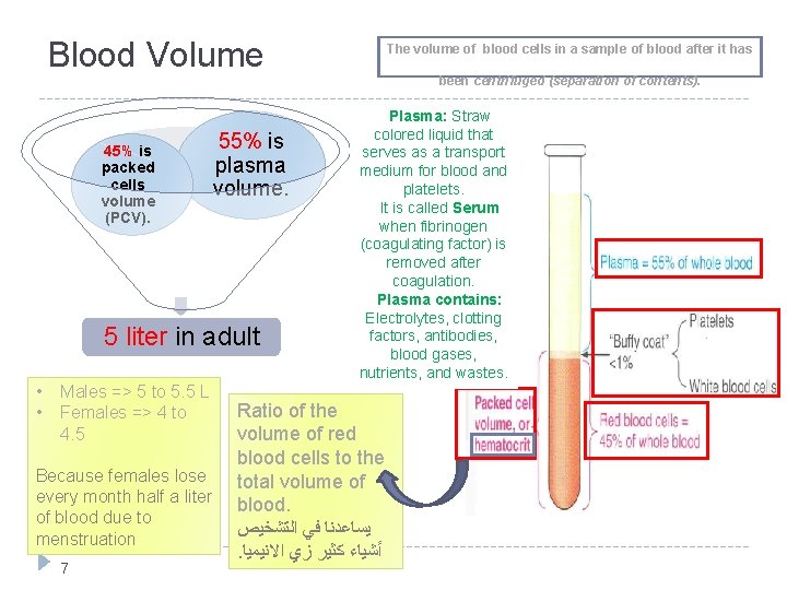 Blood Volume 45% is packed cells volume (PCV). 55% is plasma volume. 5 liter