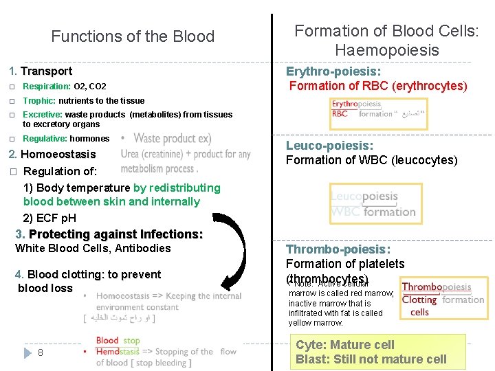 Functions of the Blood 1. Transport � Respiration: O 2, CO 2 � Trophic: