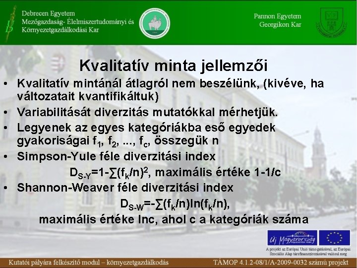 Kvalitatív minta jellemzői • Kvalitatív mintánál átlagról nem beszélünk, (kivéve, ha változatait kvantifikáltuk) •