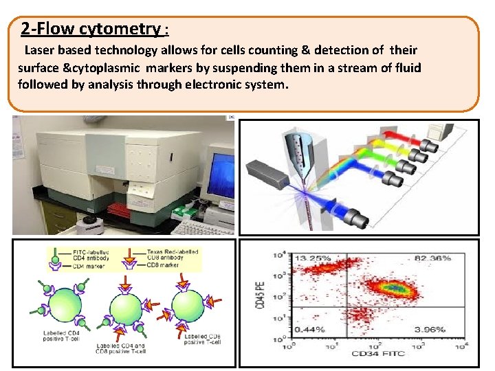  2 -Flow cytometry : Laser based technology allows for cells counting & detection