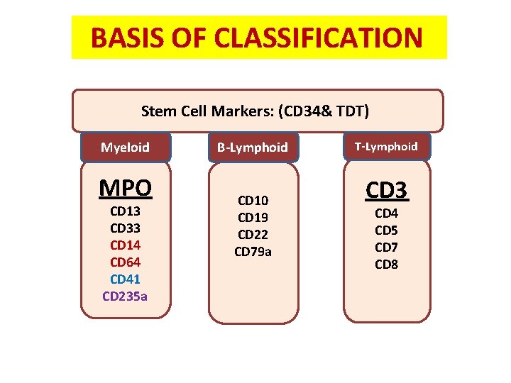 BASIS OF CLASSIFICATION Stem Cell Markers: (CD 34& TDT) Myeloid MPO CD 13 CD