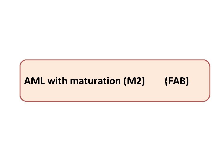 AML with maturation (M 2) (FAB) 