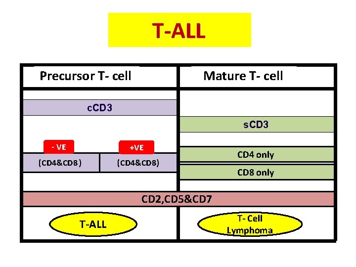 T-ALL Precursor T- cell Mature T- cell c. CD 3 s. CD 3 -