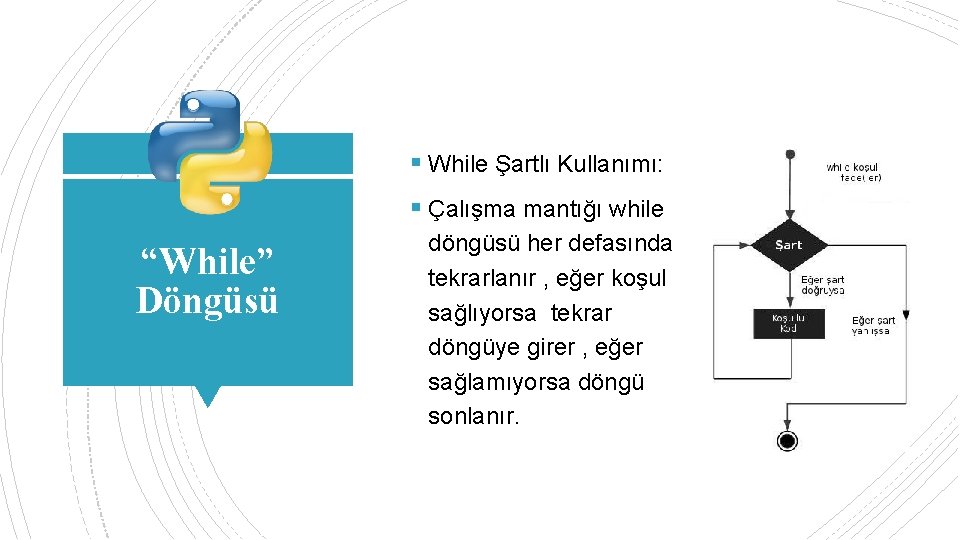 § While Şartlı Kullanımı: § Çalışma mantığı while “While” Döngüsü döngüsü her defasında tekrarlanır
