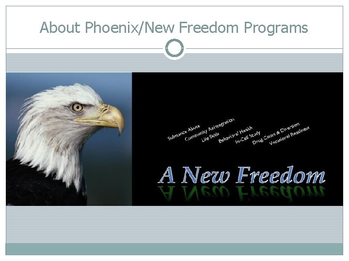 About Phoenix/New Freedom Programs 