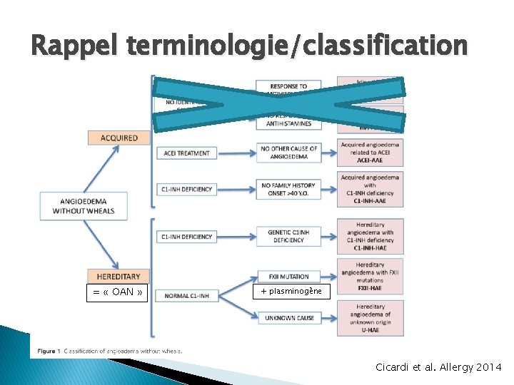 Rappel terminologie/classification = « OAN » + plasminogène Cicardi et al. Allergy 2014 