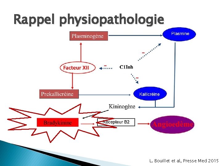 Rappel physiopathologie L. Bouillet et al, Presse Med 2015 