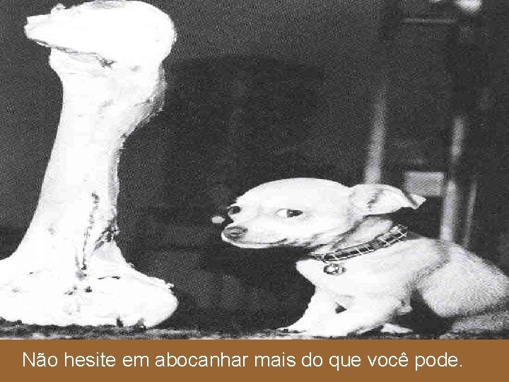 Não hesite em abocanhar mais do que você pode. 