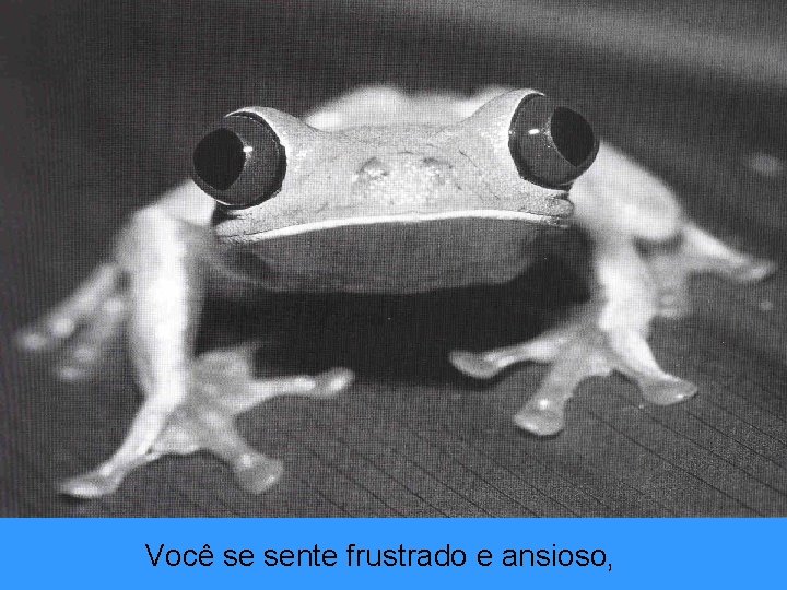 Você se sente frustrado e ansioso, 