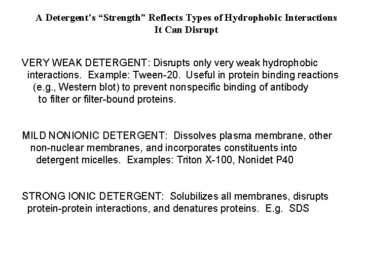 A Detergent’s “Strength” Reflects Types of Hydrophobic Interactions It Can Disrupt VERY WEAK DETERGENT: